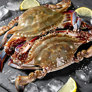 Blue Crab