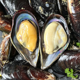 Green Mussels