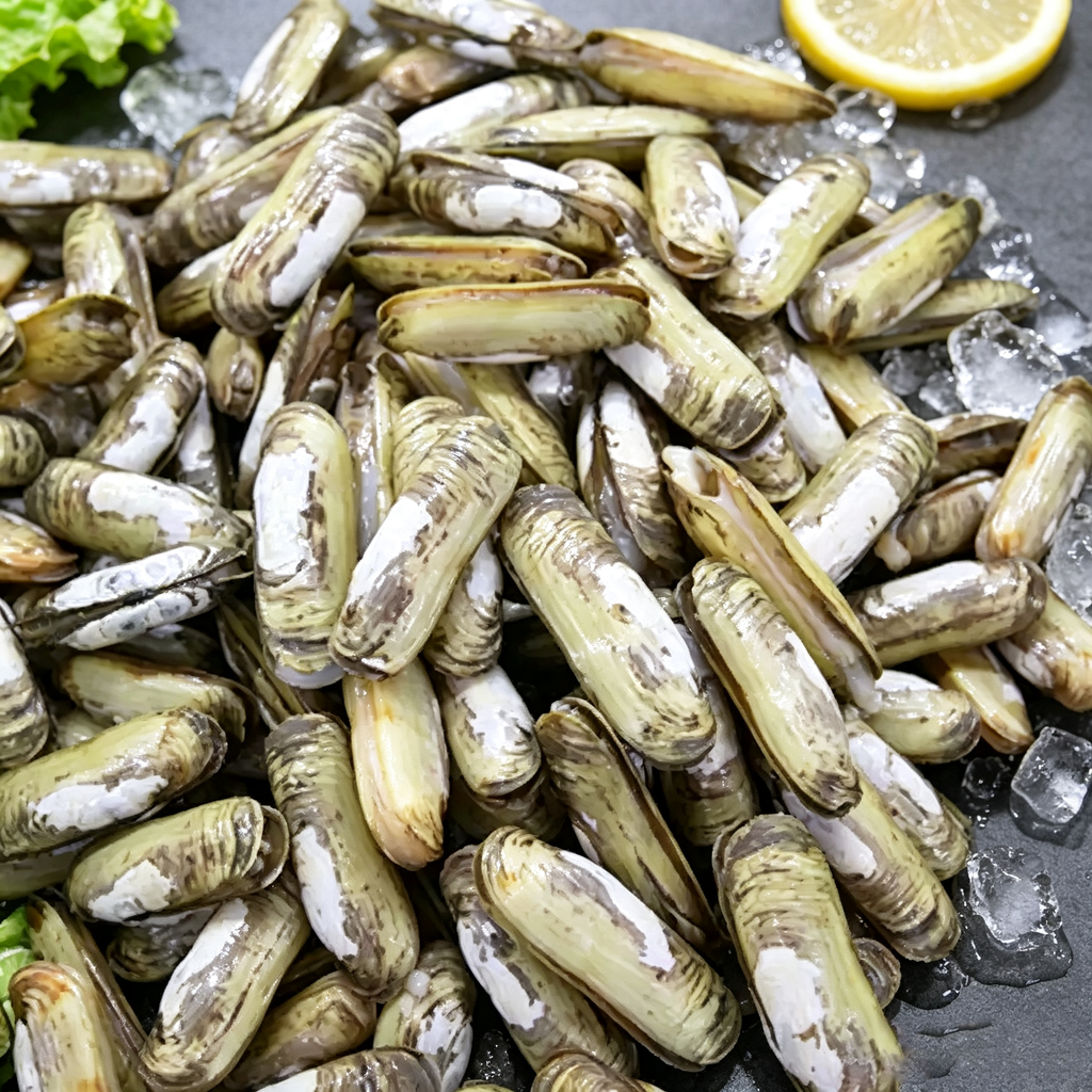 Razor Clam